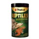 TROPICAL REPTILES HERBIVORE soft formula - MAISTAS ŽOLĖDŽIAMS IR VISAĖDŽIAMS GYVŪNAMS, 65 g/ 250 ml 